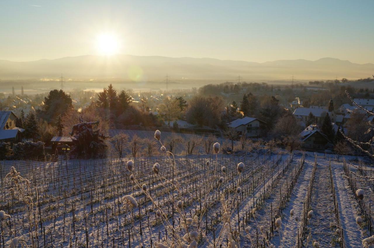 Weingut Landmann Ferienwohnungen Fryburg Bryzgowijski Zewnętrze zdjęcie